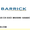 PROFAILI YA BARRICK CORPORATION