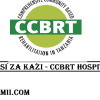 Profile of CCBRT