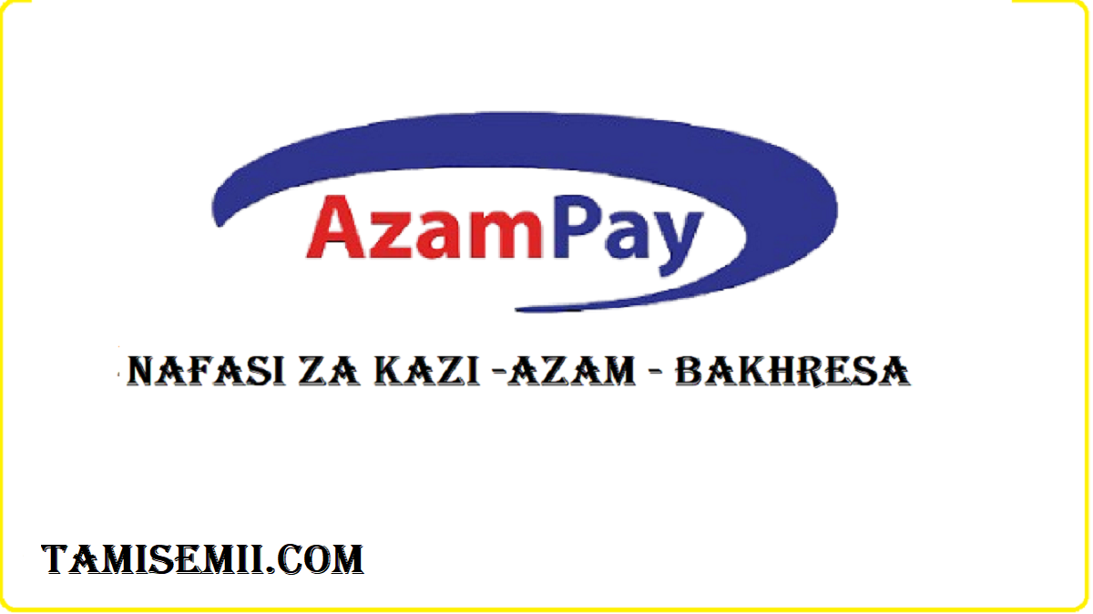 AZAM PAY LIMITED Offers New Employment Opportunities, August 2024